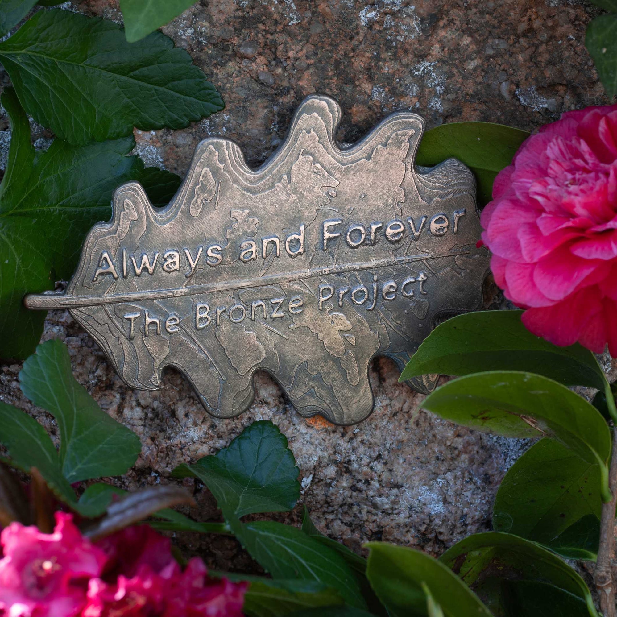 Bronze Legacy Leaf – Oak